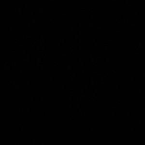 Meet your Posher, Carly